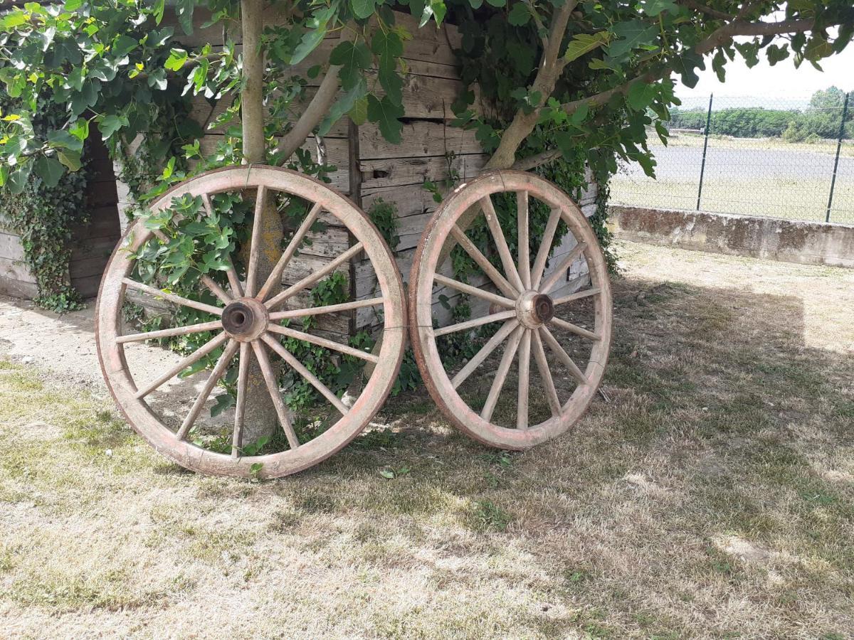 La Fiora Bed & Breakfast Sansepolcro Bagian luar foto