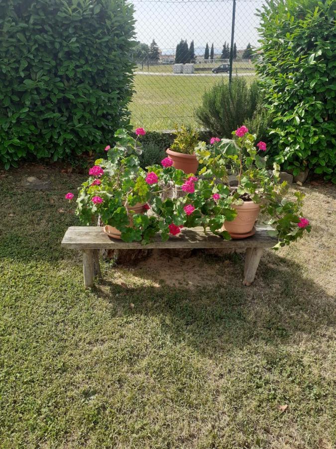 La Fiora Bed & Breakfast Sansepolcro Bagian luar foto